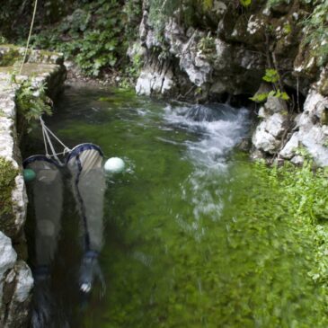 Inquinamento da microplastiche nelle acque sotterranee?